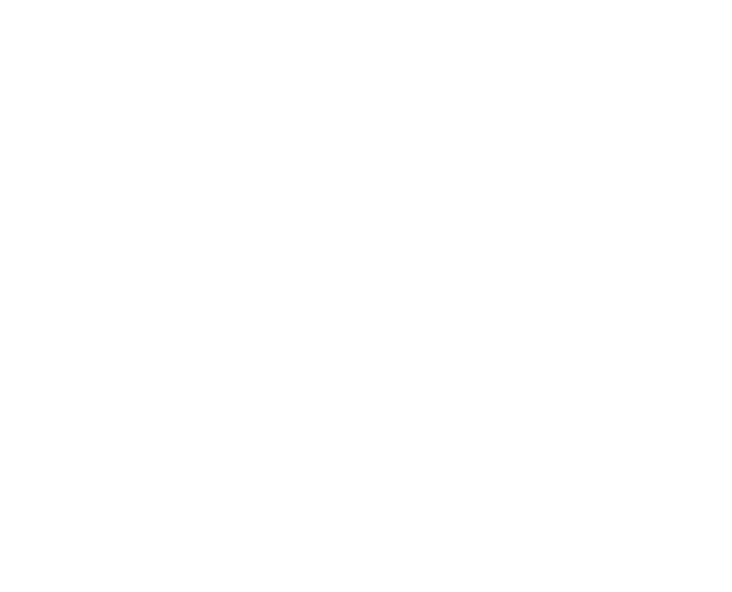 SonicKart logo